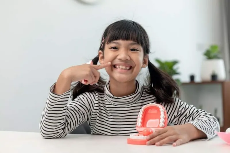 A young girl pointing to her teeth and holding a model of teeth
